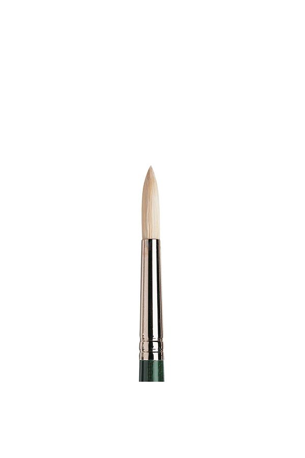 Winsor Newton-Winsor & Newton Winton Long Handle Round Brush with Hard Bristles No:6 1