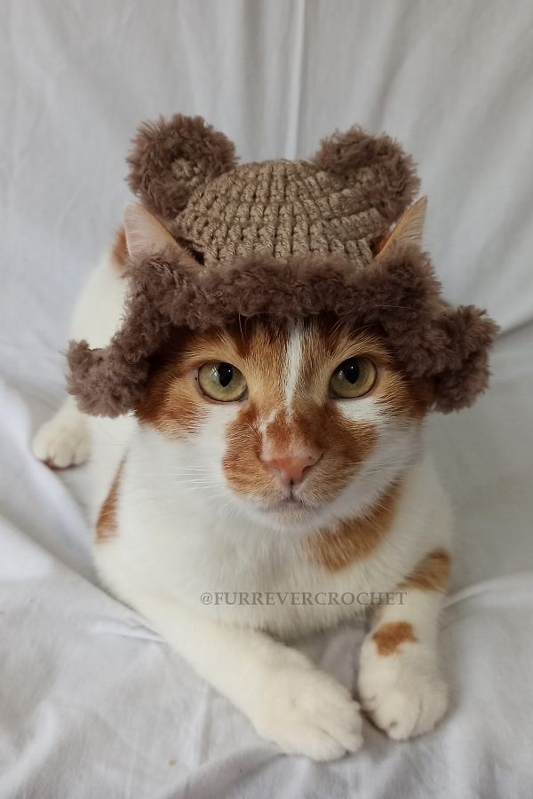 Crochet bear hat for dogs clearance