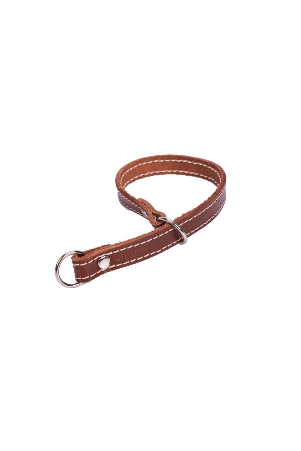 Leather training collar 2025