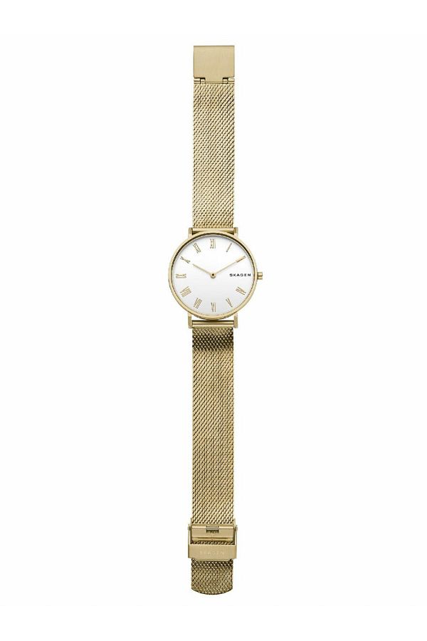 Skagen skw2713 new arrivals