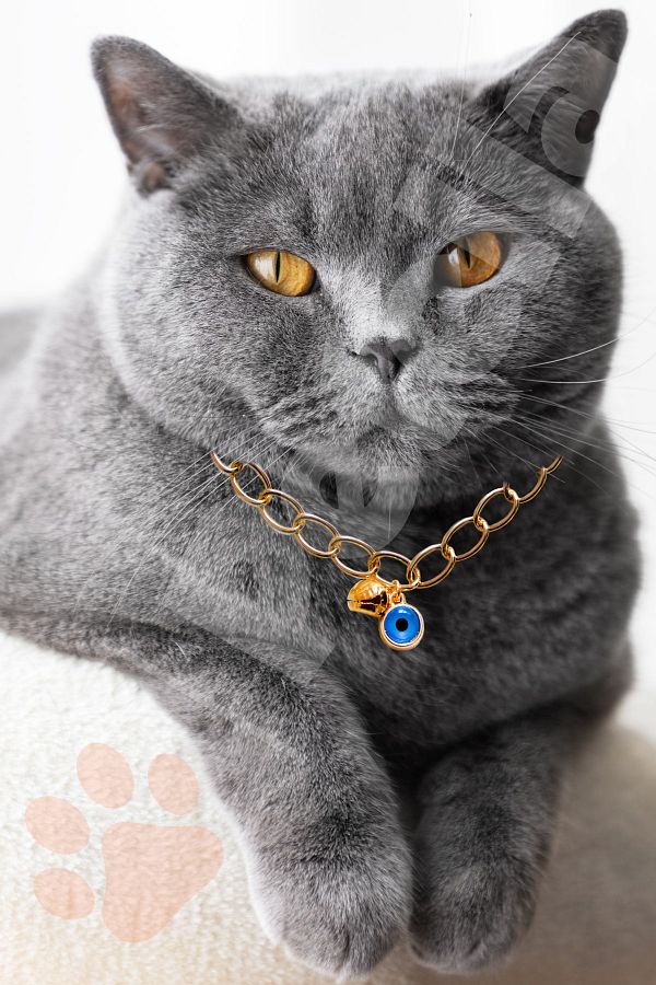 Petella Cat Collar Chain Cat Necklace with Evil Eye Bead Detail Adjustable Gold Chain with Bell Trendyol