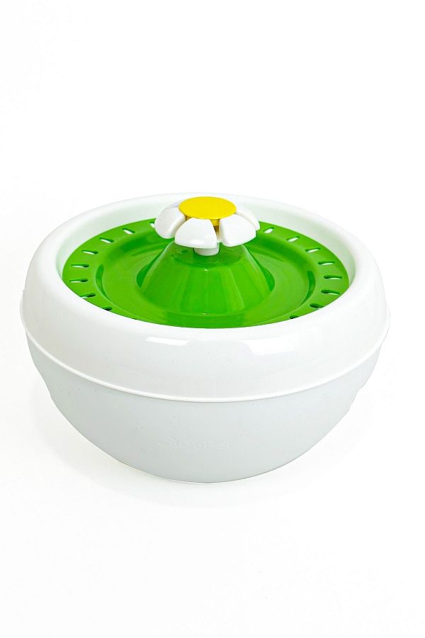 Daisy cat water fountain shop