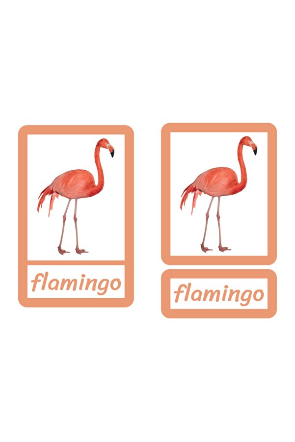 Meraklı Zebra Montessori Üç Parçalı Eşleştirme Kartları