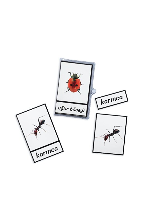 Genel Markalar Montessori Üç Parçalı Eşleştirme Kartları - Böcekler Seti