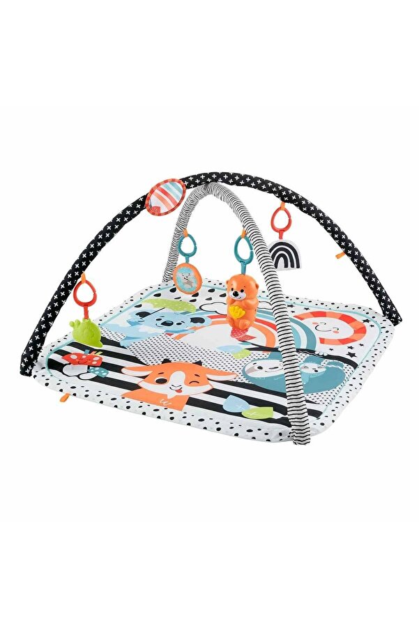 Fisher Price Neşeli Hayvanlar 3'ü 1 Arada Jimnastik Merkezi Hbp41