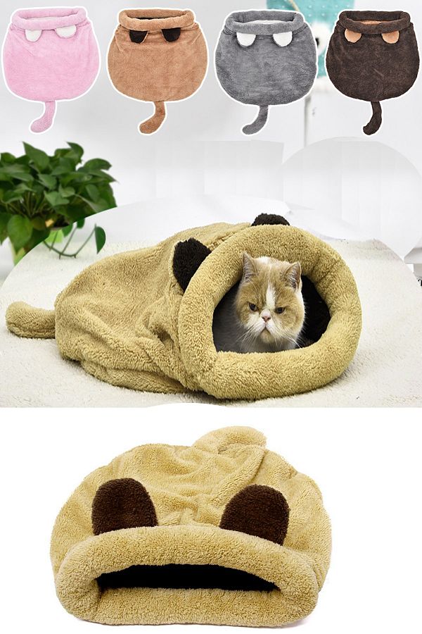 Cat in sleeping bag top