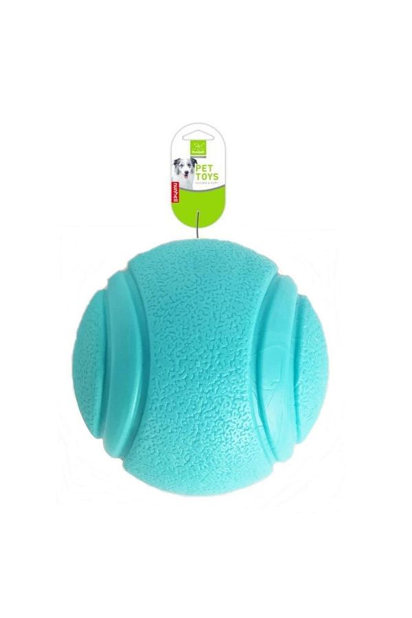 Hard dog toys shop