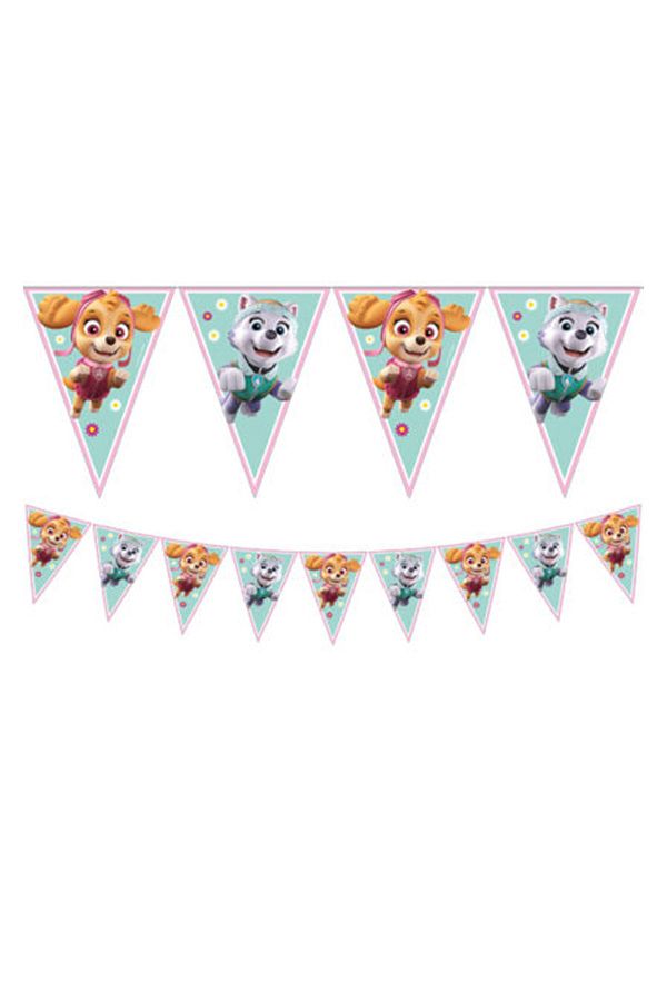 alsepeteavm-Paw Patrol Triangle Pennant 1