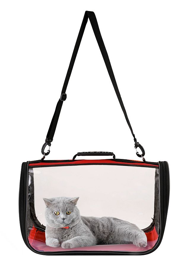 Pet flys dog carrier clearance