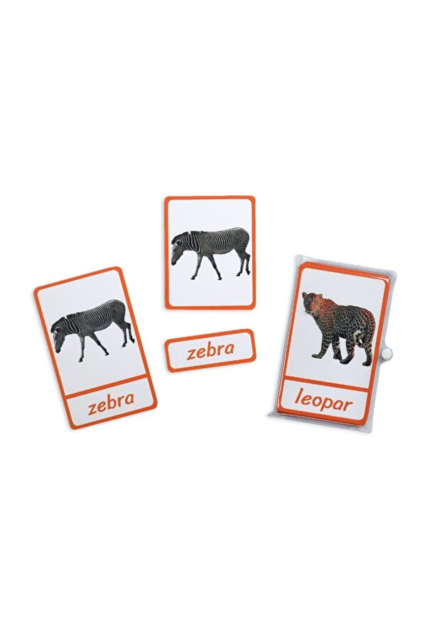 Meraklı Zebra Montessori Üç Parçalı Eşleştirme Kartları - Safari Hayvanları Seti