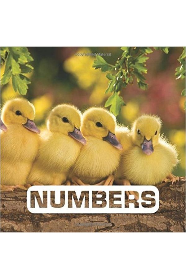 HMH Books-Numbered Set 1