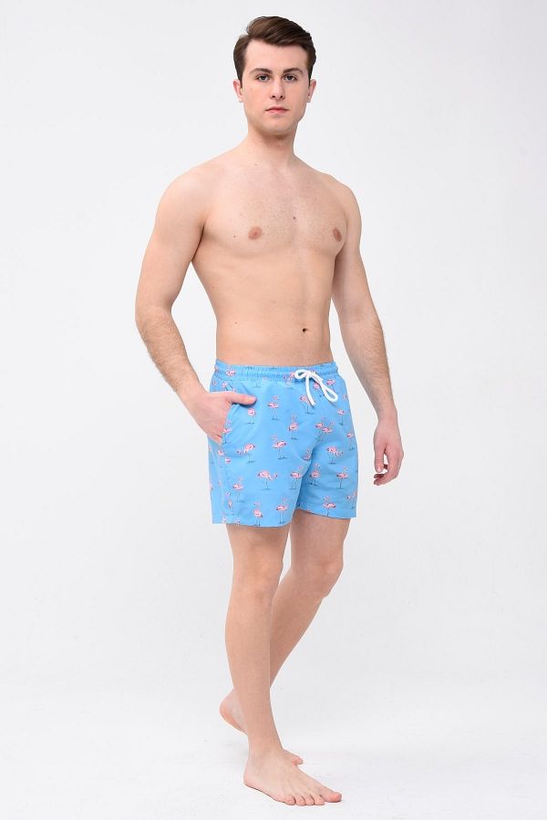 Bolder-David Flamingo Pattern Men's Swim Shorts 1