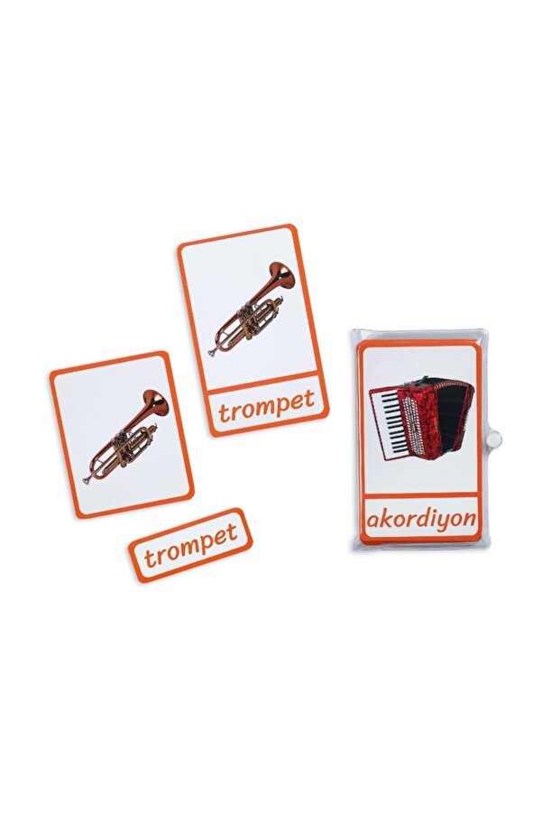 Meraklı Zebra Montessori Üç Parçalı Eşleştirme Kartları Müzik Aletleri Seti