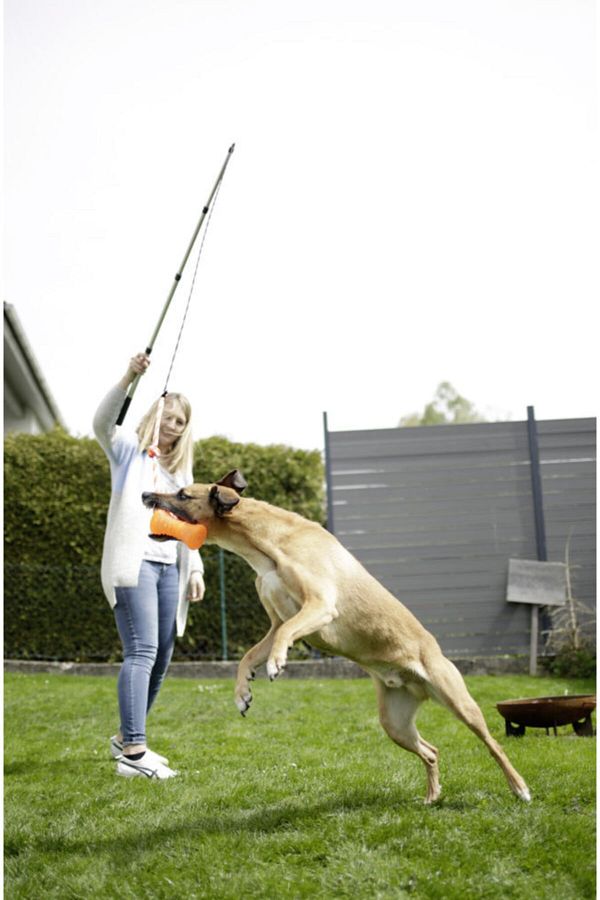 KERBL-Telescopic Extending Dog and Cat Toy Stick 1
