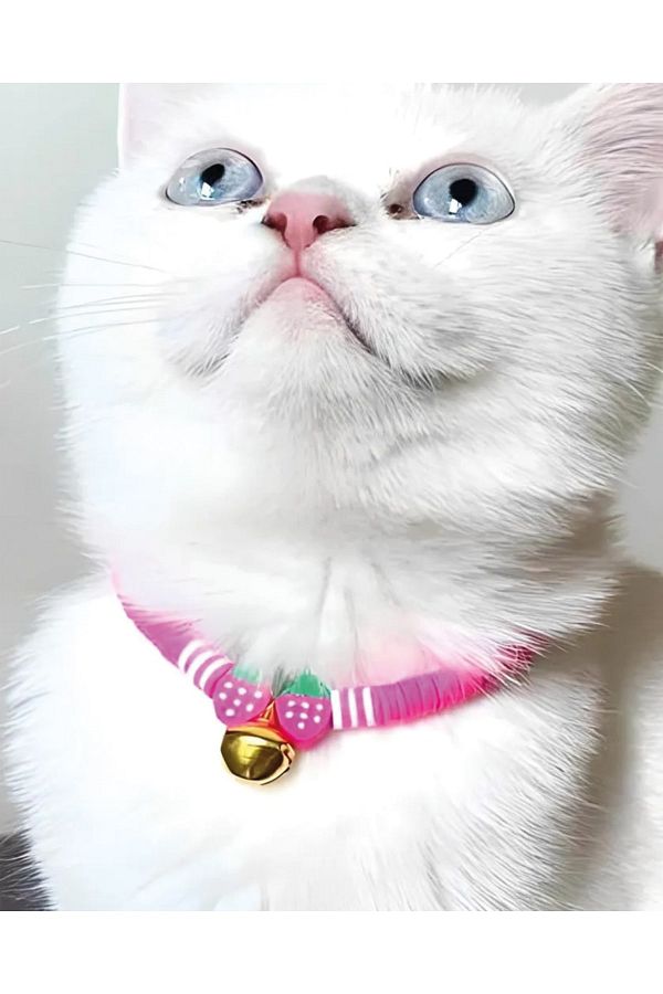 M Miel Cat Necklace Cat Collar Cat Chain Trendyol