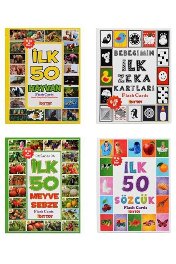 Diytoy Eğitici Flash Kartlar 4'lü Set