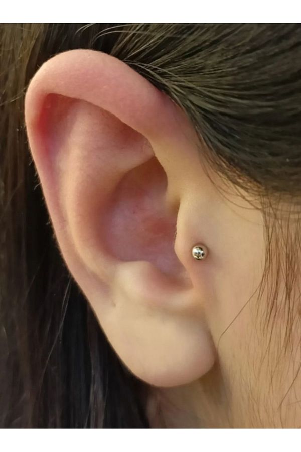 Tragus magnetic earrings cheap