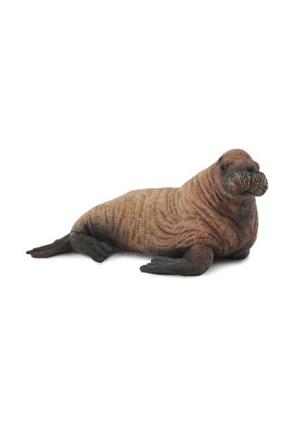 Collecta-Walrus Calf (M) 1