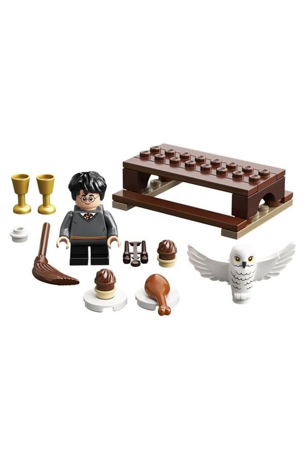 LEGO Harry Potter 30420 Hedwig and the Owl Delivery Trendyol