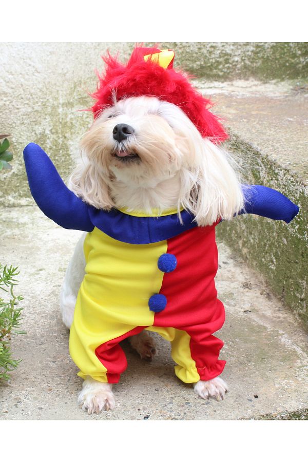 Dog dress up costume clearance