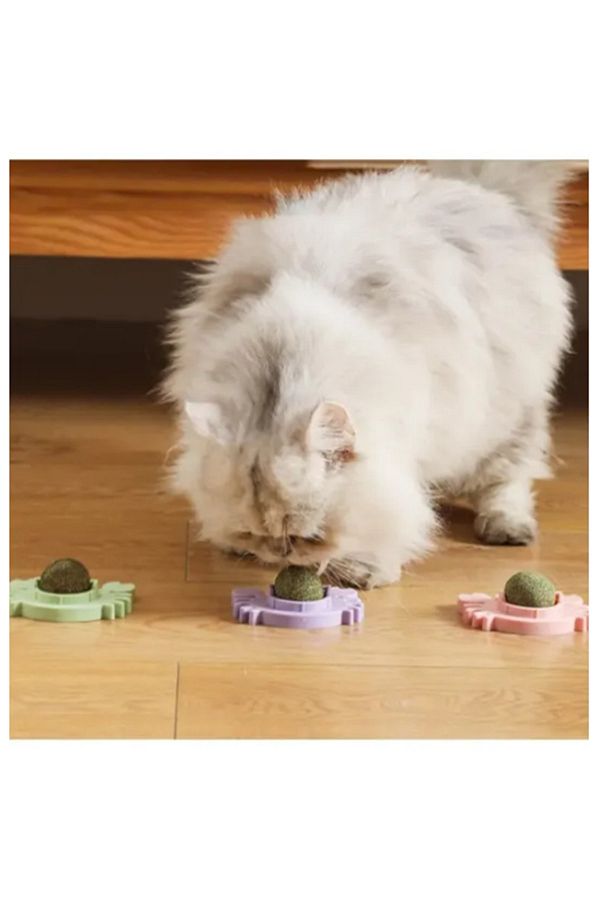 Allmart-Crab Model Natural Catnip Catnip Play Ball Toy 1