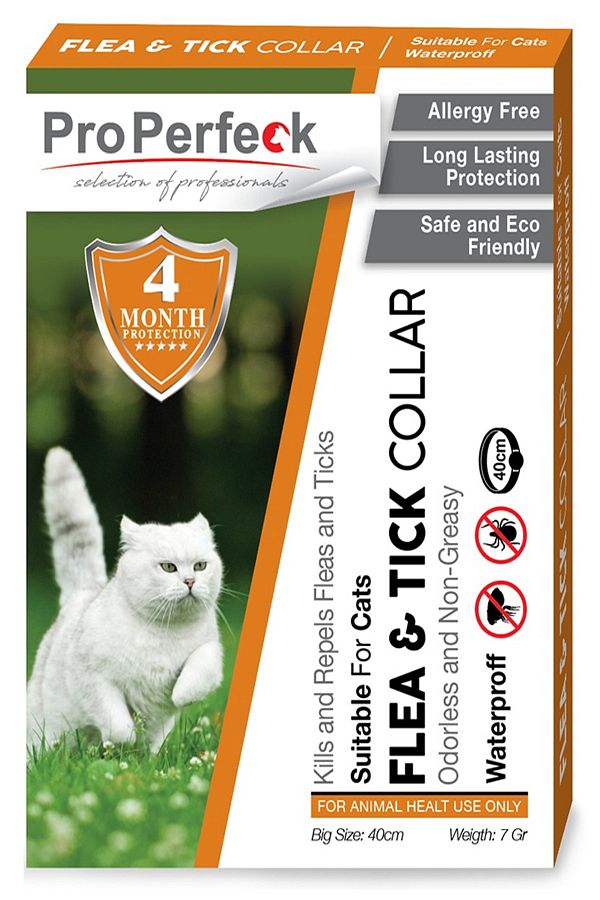 Herbal flea collar for cats store