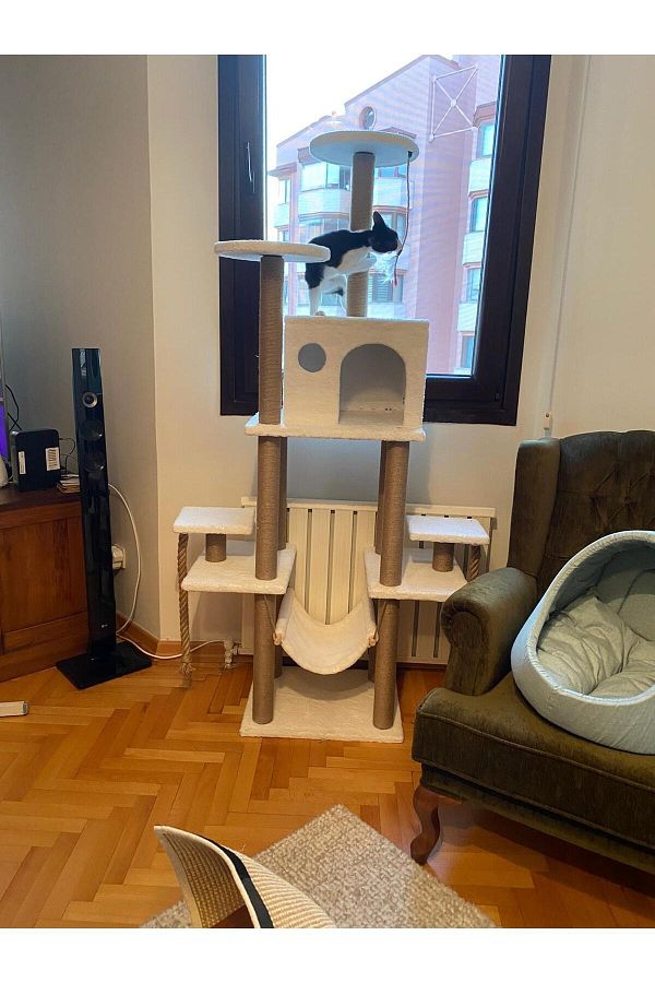 pethomealpi-PETHOMEALPY Cat Scratching House and Play Platform 100% Warranty CUSTOMER MEMORY 1