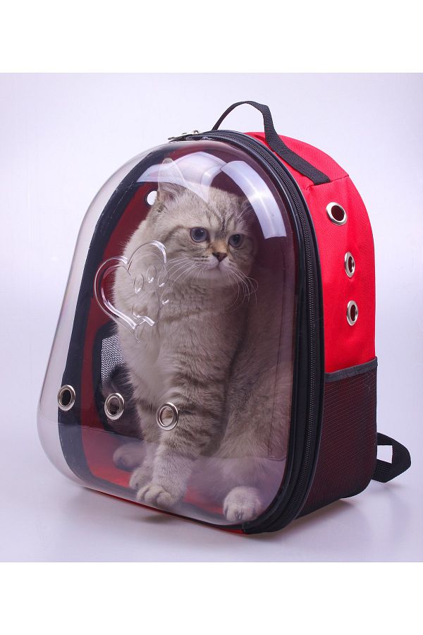 Cat astronaut bag shop