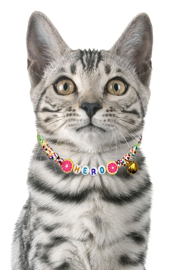 Cat necklace with name online