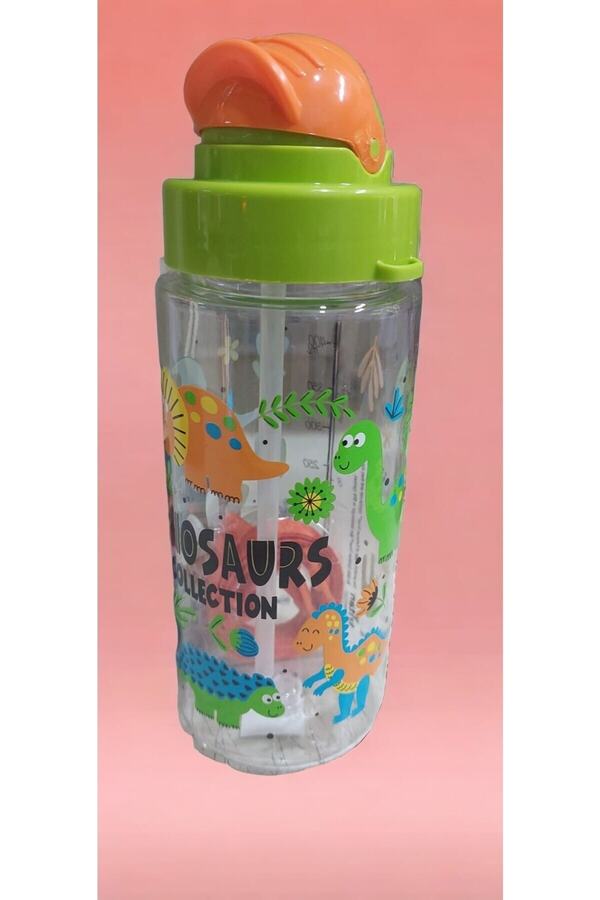 Timon-Plateau Dinosaurs Water Flask 0.5 liters 1