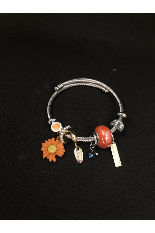 Hepsi Moda-10 Pieces Charm Stainless Steel Bracelet - Mod 1