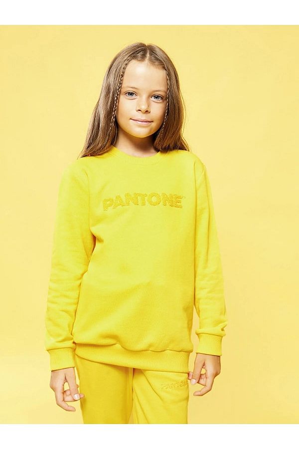 Pantone sweatshirt shop