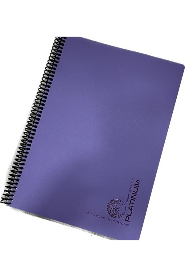 karinabest-Gıpta Platinum مجموعة دفتر ملاحظات مدرسية ذات ألوان معدنية عالية الجودة مقاس A4 100 ورقة غطاء PP مربعات مع حلزون 1