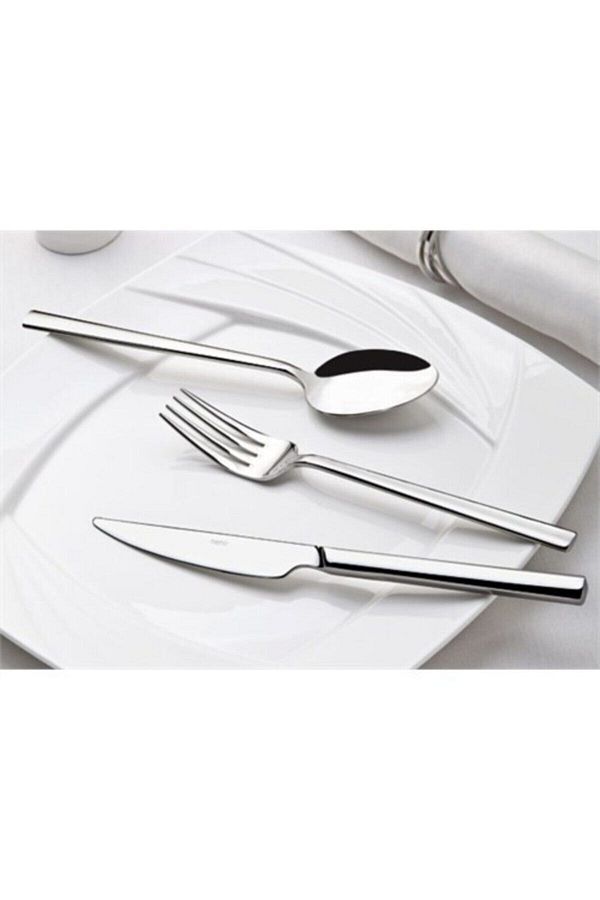 Nehir-Dalyan Plain 89 Piece Boxed Fork Spoon Set 1