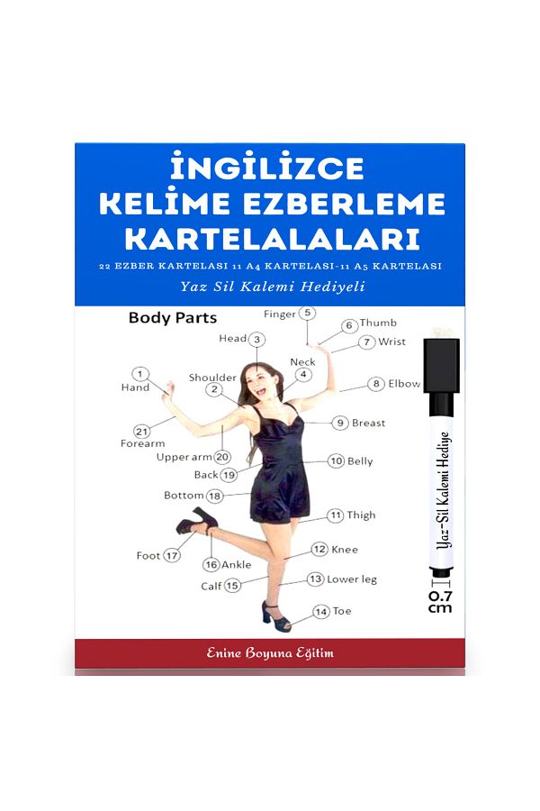 Enine Boyuna Eğitim-English Word Memorization Charts (22 Charts) 1