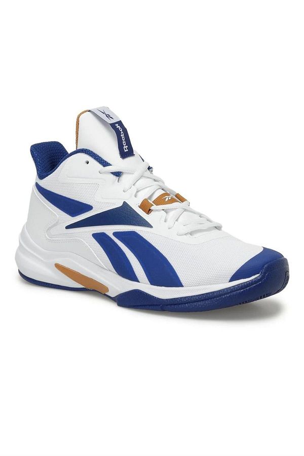 Reebok shoes for basketball online
