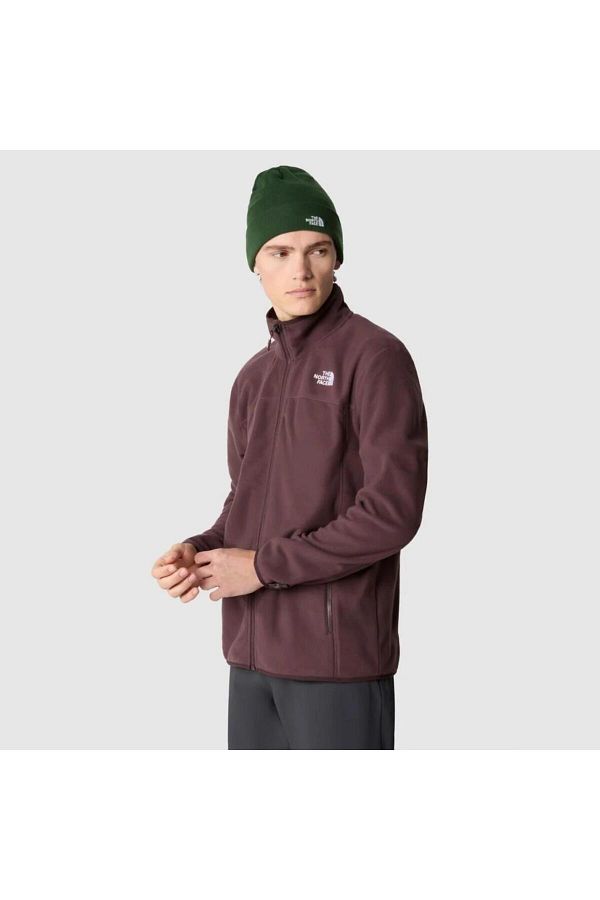 North face m 100 glacier full zip discount