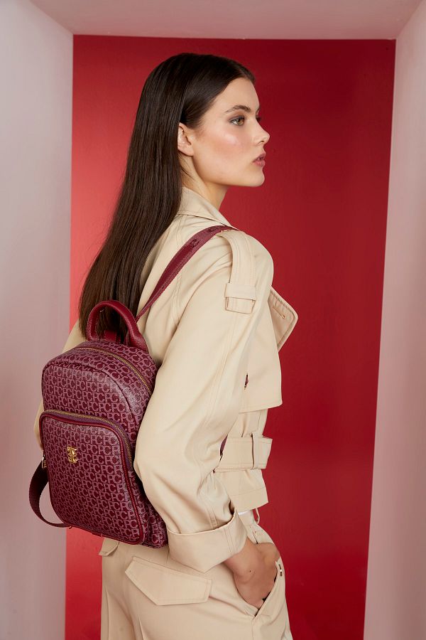 Pierre cardin backpack 2025