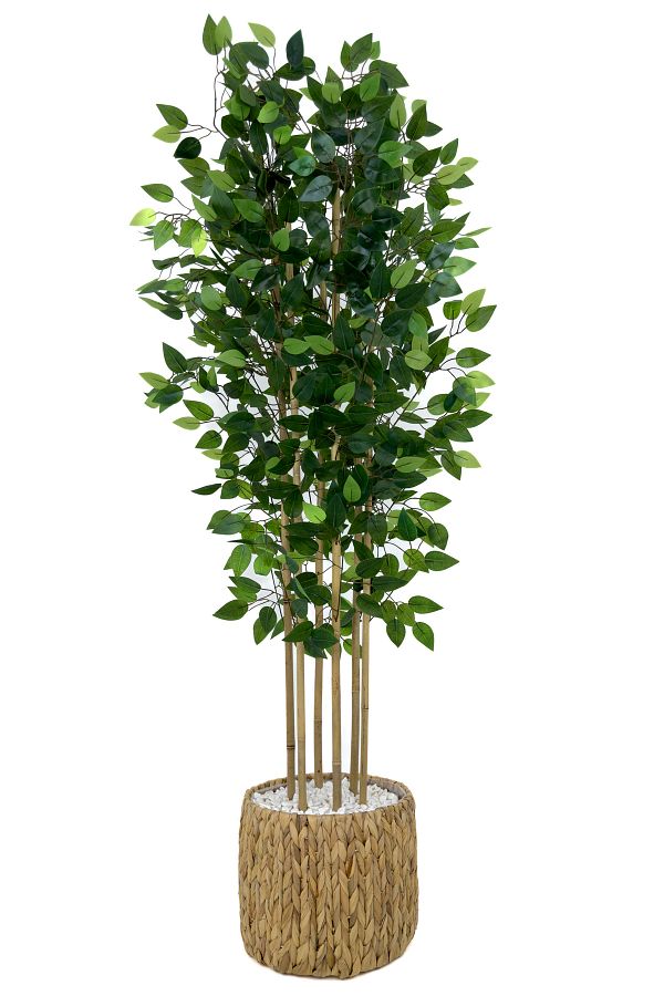 BİÇİÇEK-Artificial Benjamin Tree 170cm Wicker Bohem2 in a Pot 1
