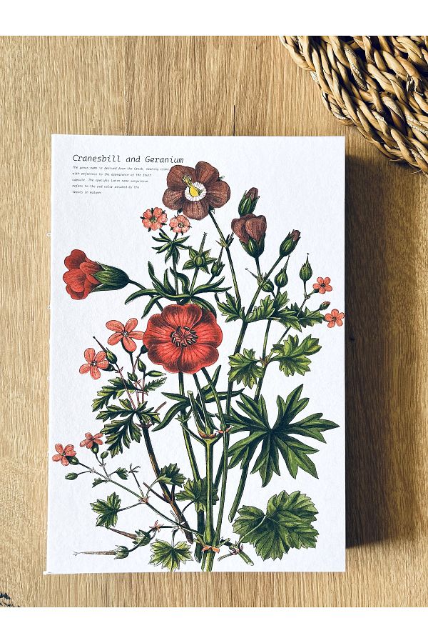 Fark Tanıtım-A5 Enzo Striped Notebook with Special Design Cover - 180 Degree Opening, 100% Handcrafted 1