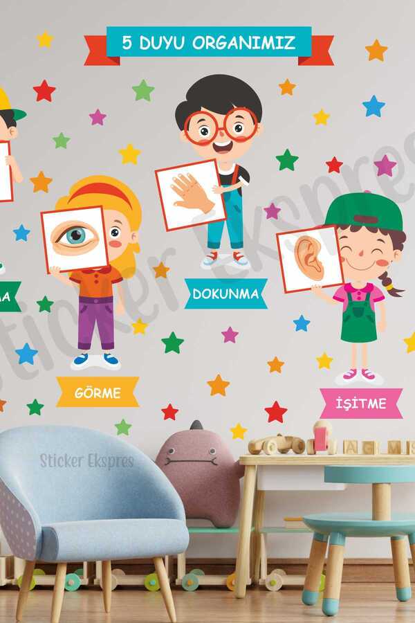 Sticker Ekspres Beş Duyu Organımız Eğitici Anaokulu Çocuk Odası Kreş Duvar Kapı Cam Sticker Seti