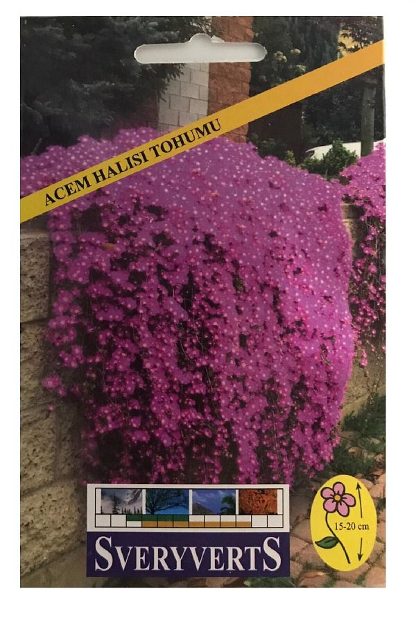 Acem Halısı Çiçeği Tohumu Paket