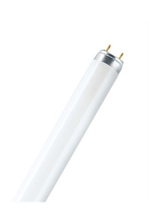 Ampul 10w/54 Floresan Ampul(beyaz Işık)