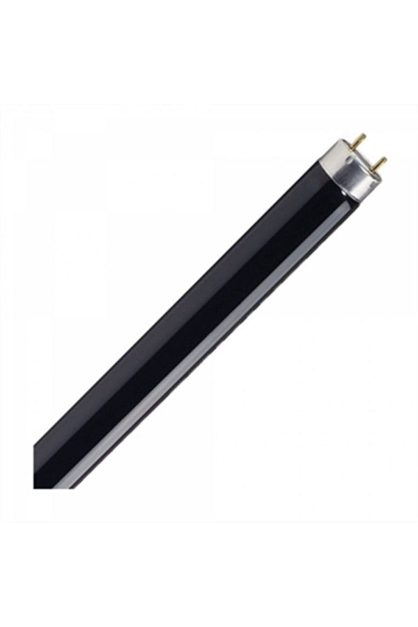 Amp Flore T8 G13 36w/blb