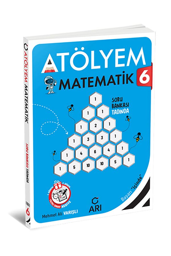 Arı 6. Sınıf Matemito Matematik Atölyem 2024