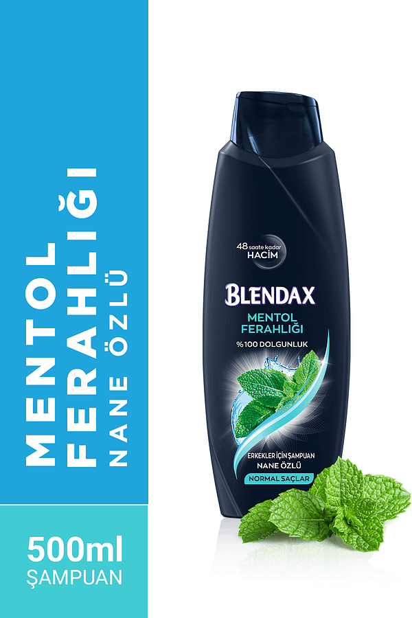 Erkekler I?çin Mentollü Şampuan 500 ml