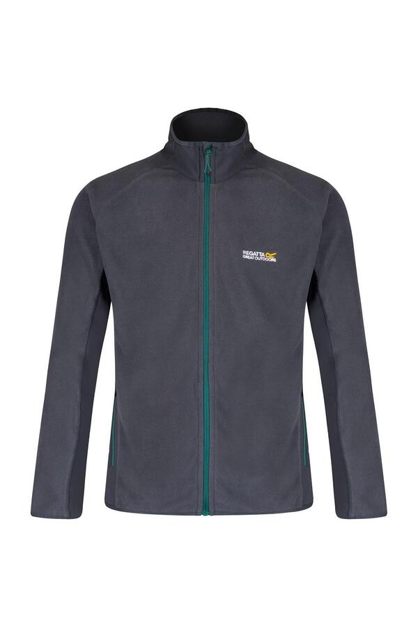 Regatta Ashton Erkek Polar-GRİ