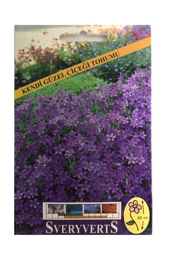 Kendi Güzel Çiçeği Tohumu Paket