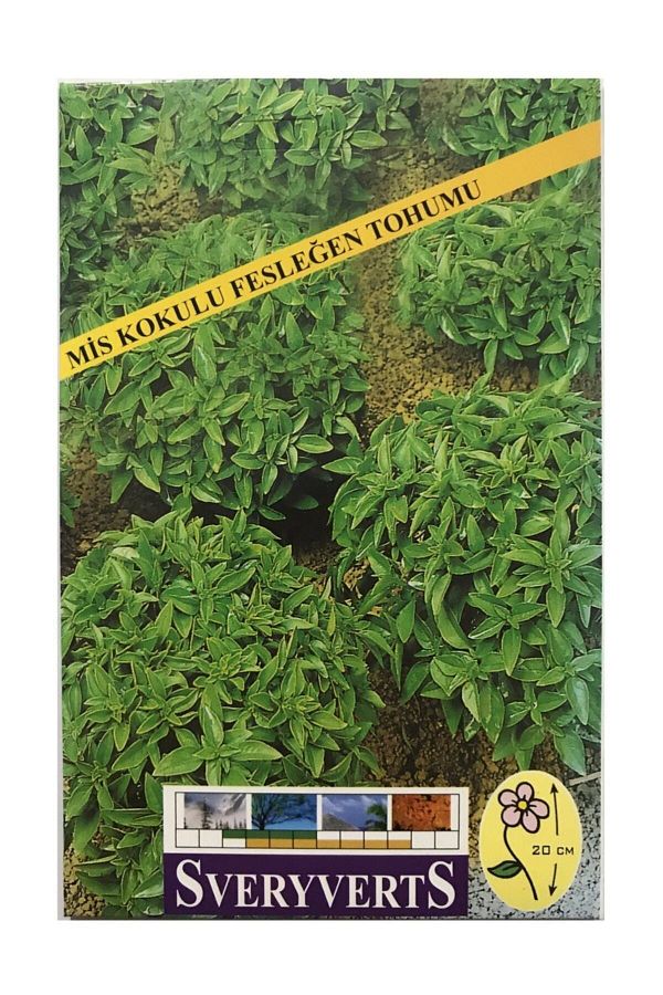 Mis Kokulu Fesleğen Tohumu Paket Reyhan
