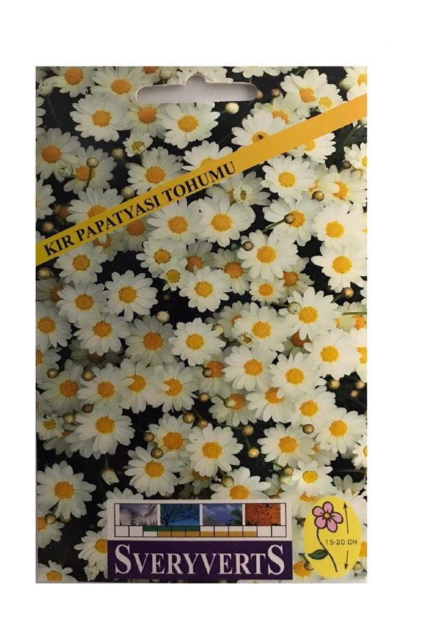 Kır Papatyası Çiçeği Tohumu Paket
